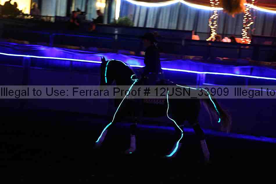 Proof 12usn_33909
