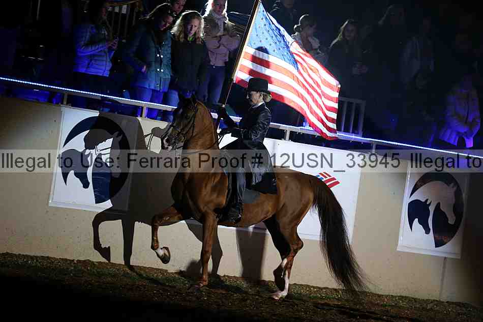 Proof 12usn_33945