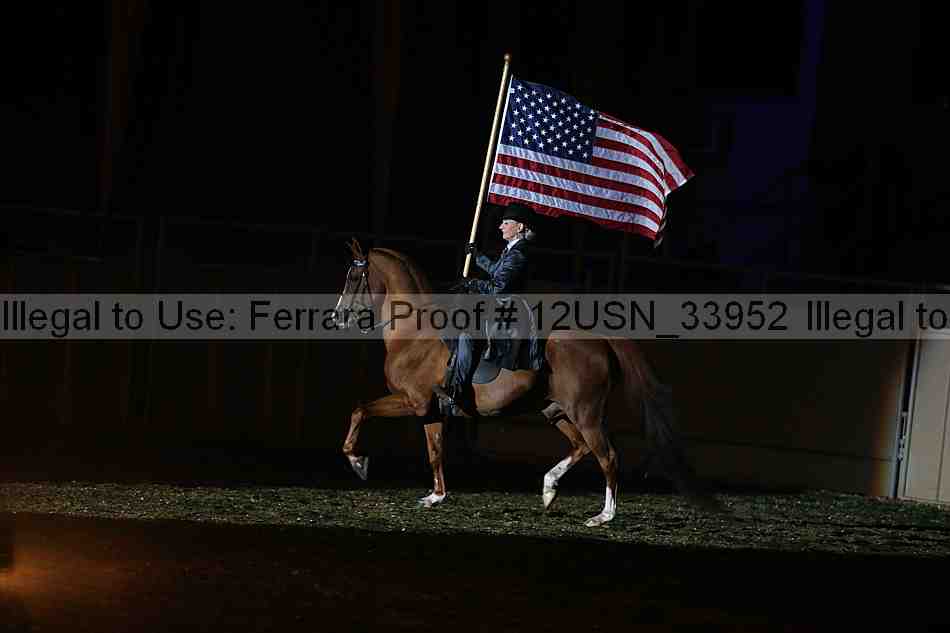 Proof 12usn_33952