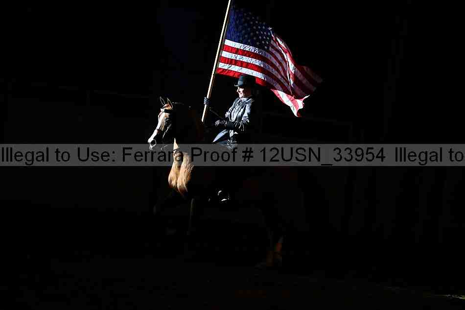Proof 12usn_33954