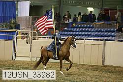 12usn_33982 proof