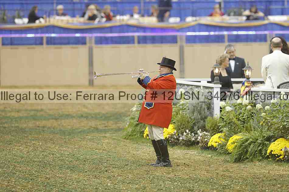 Proof 12usn_34276