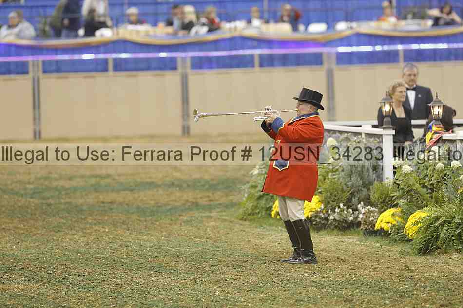 Proof 12usn_34283