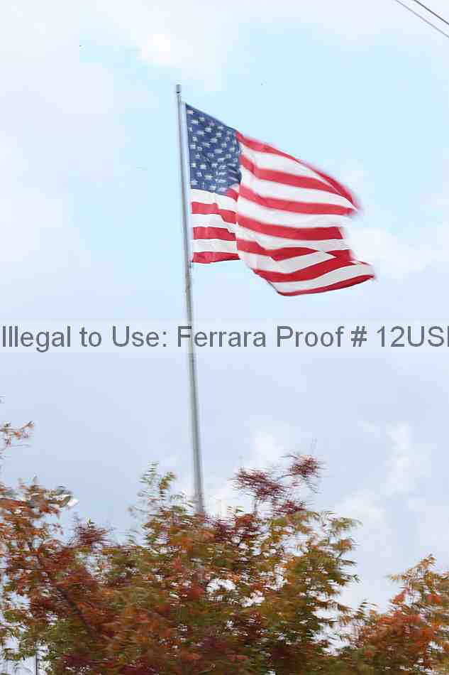 Proof 12usn_00008