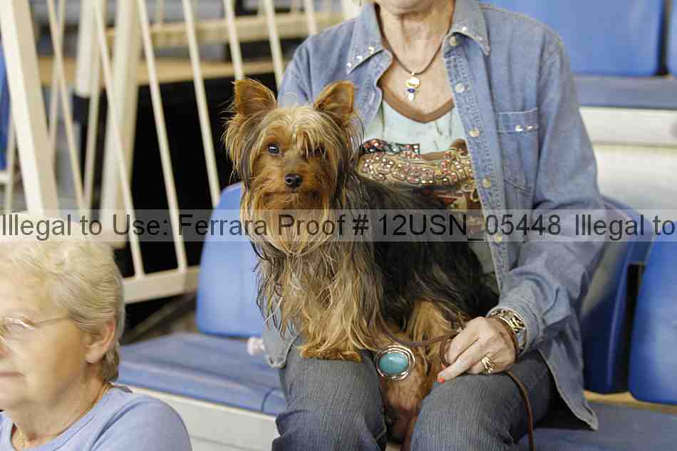 Proof 12usn_05448