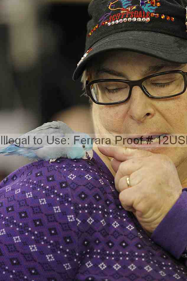 Proof 12usn_05454