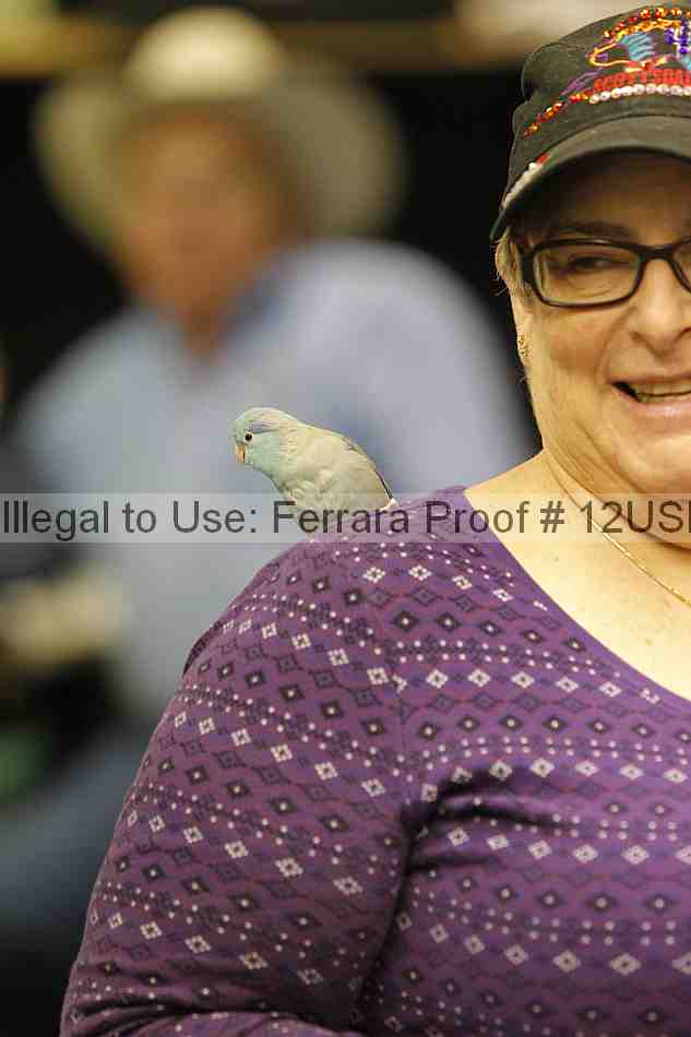 Proof 12usn_05455