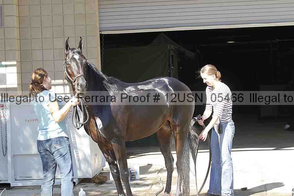 Proof 12usn_05466