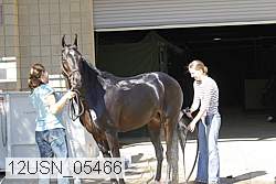12usn_05466 proof