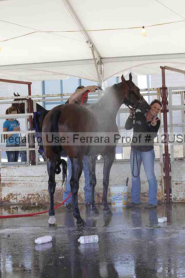Proof 12usn_05473
