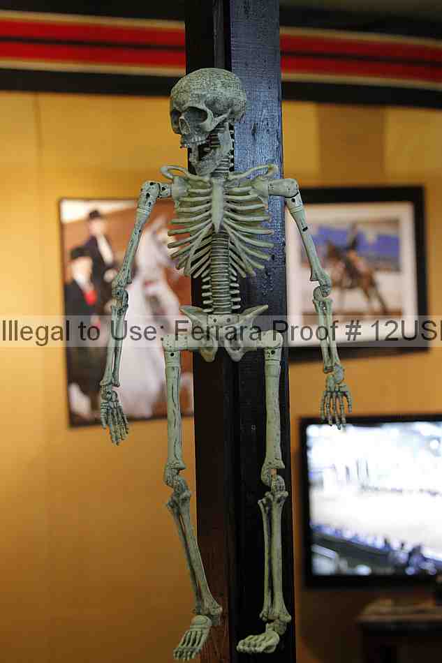 Proof 12usn_05479