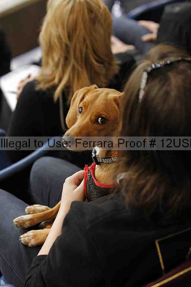 Proof 12usn_20374
