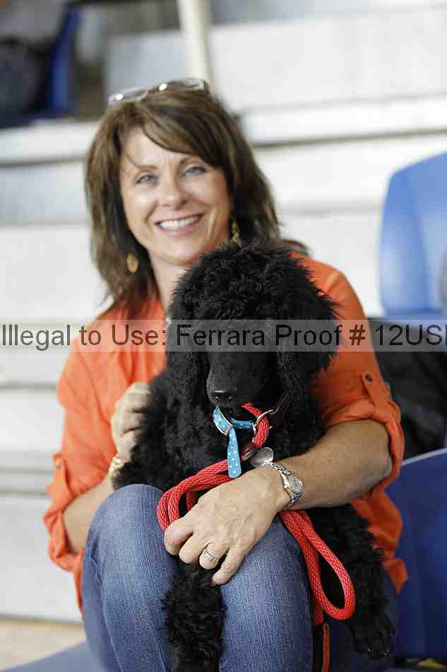 Proof 12usn_20375