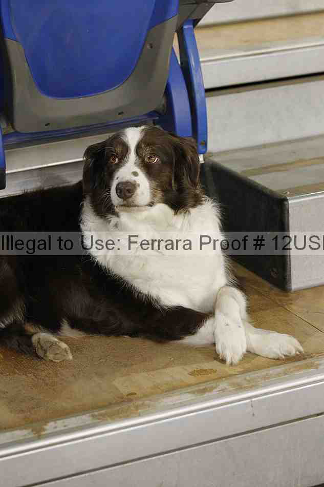 Proof 12usn_20377