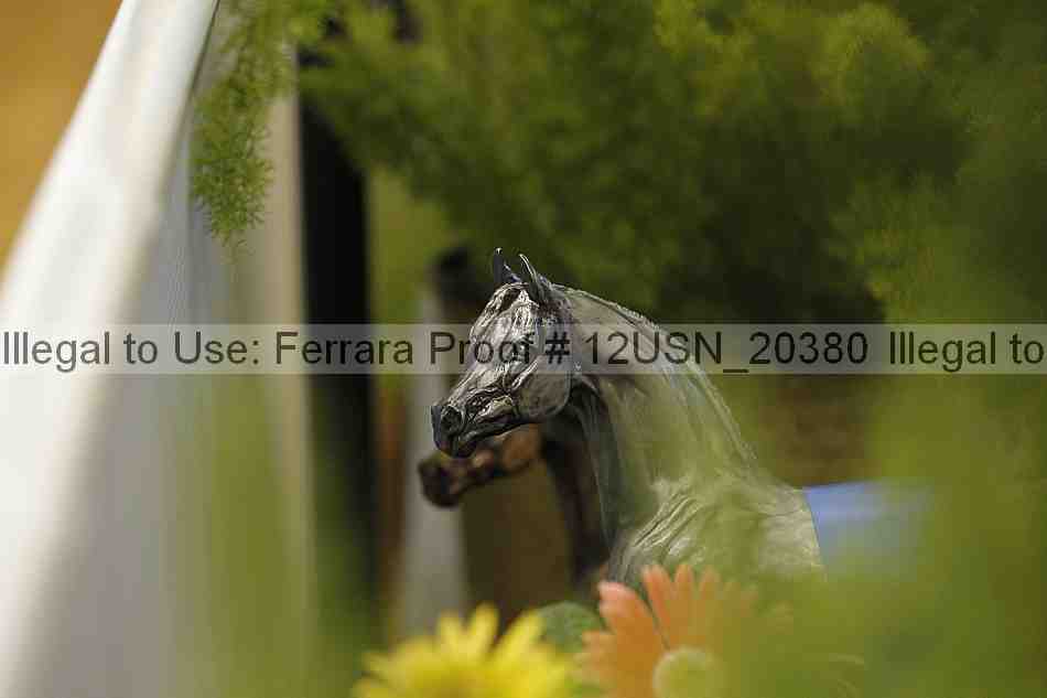 Proof 12usn_20380