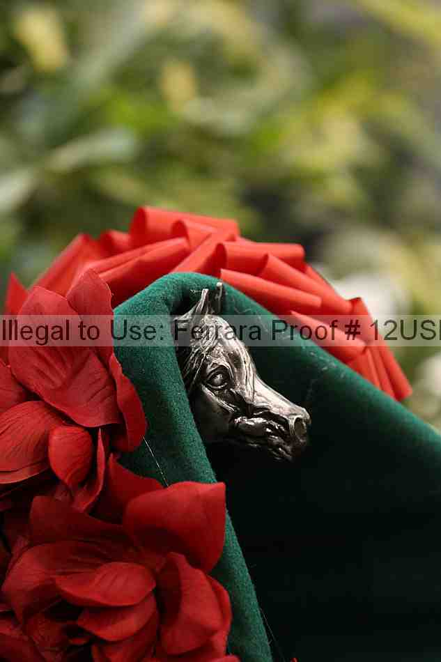 Proof 12usn_20384