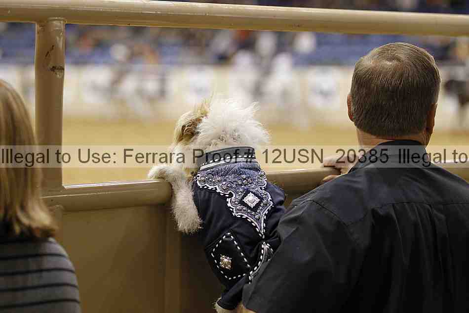 Proof 12usn_20385
