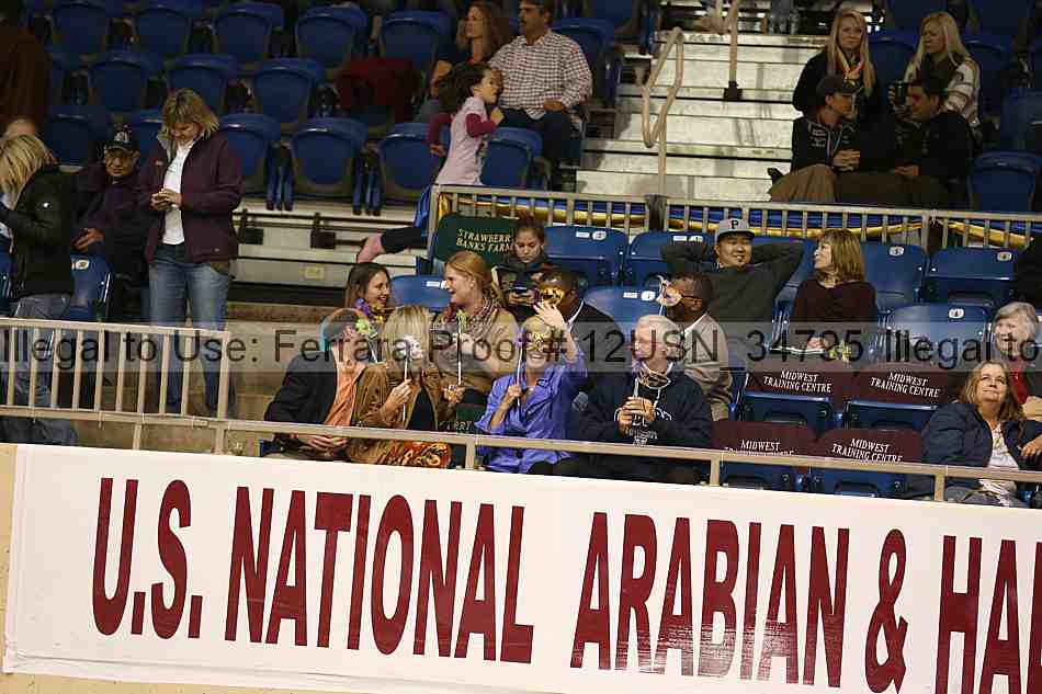 Proof 12usn_34795