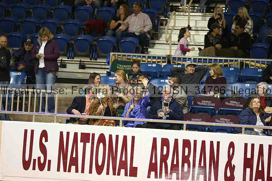 Proof 12usn_34796