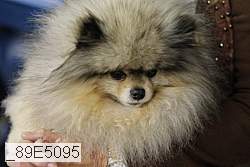 _89e5095 proof