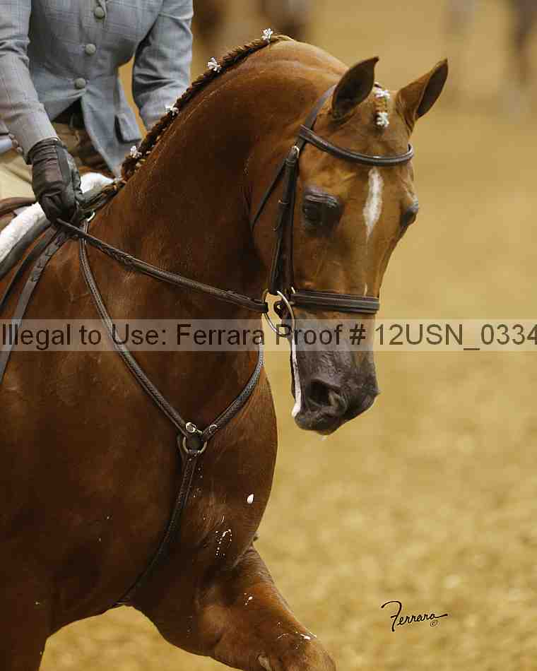 Proof 12usn_03345_slideshow