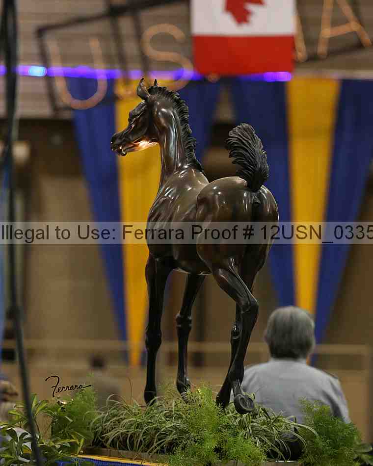 Proof 12usn_03352_slideshow