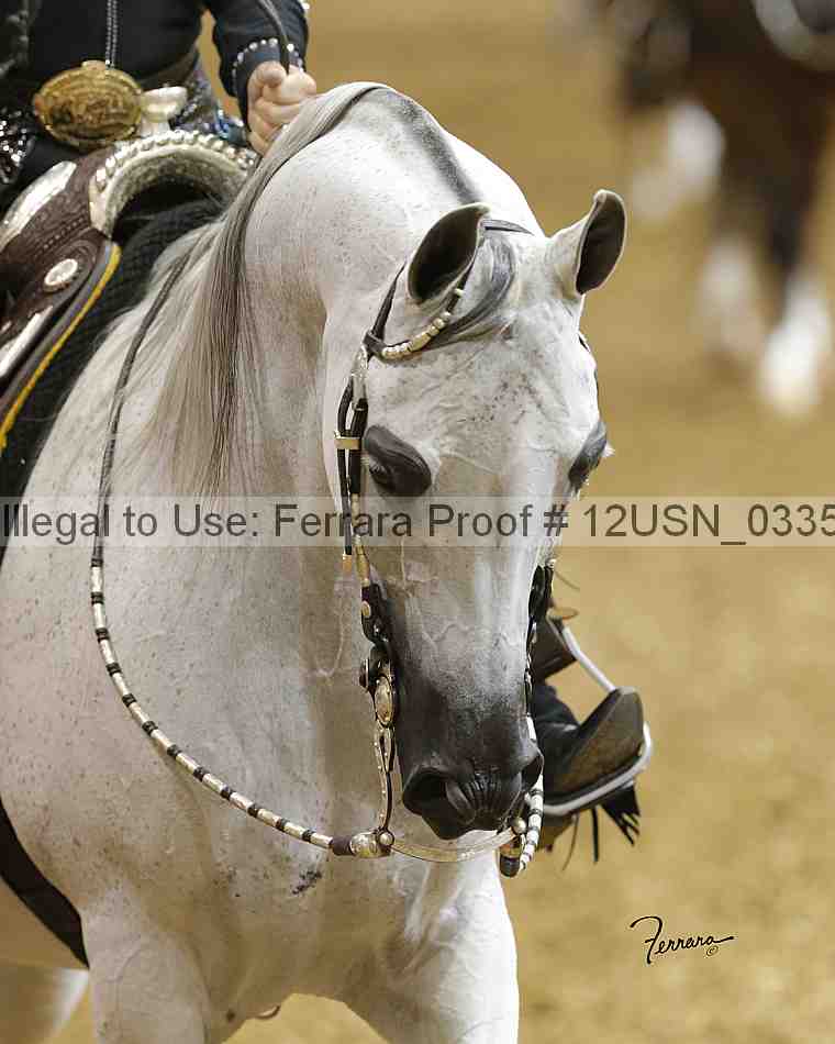 Proof 12usn_03358_slideshow