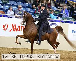 12usn_03363_slideshow proof