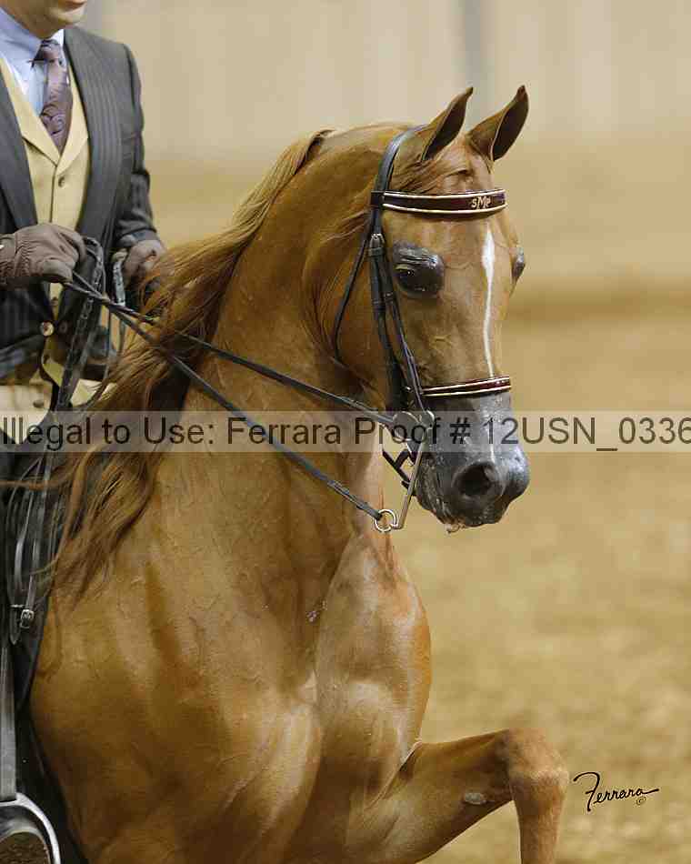 Proof 12usn_03366_slideshow