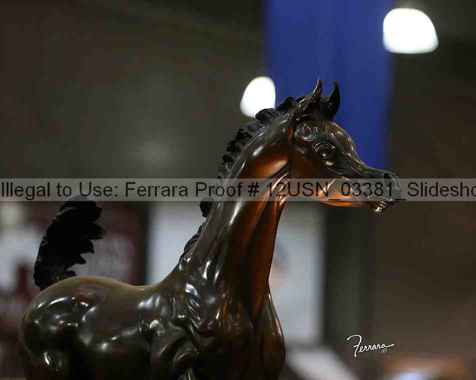 Proof 12usn_03381_slideshow