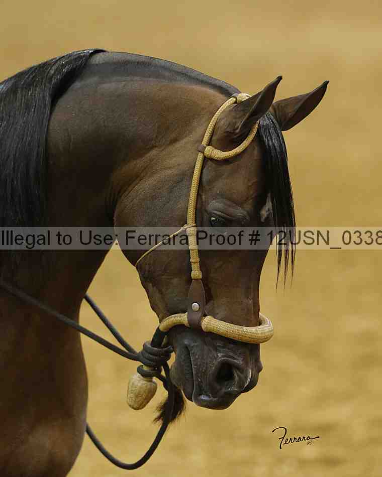 Proof 12usn_03388_slideshow