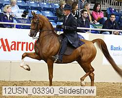 12usn_03390_slideshow proof