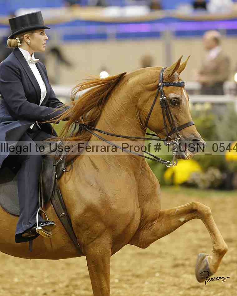 Proof 12usn_05447_slideshow