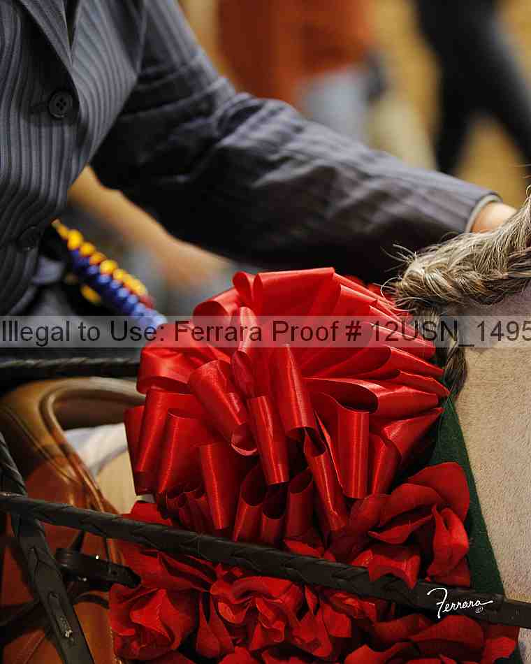 Proof 12usn_14958_slideshow