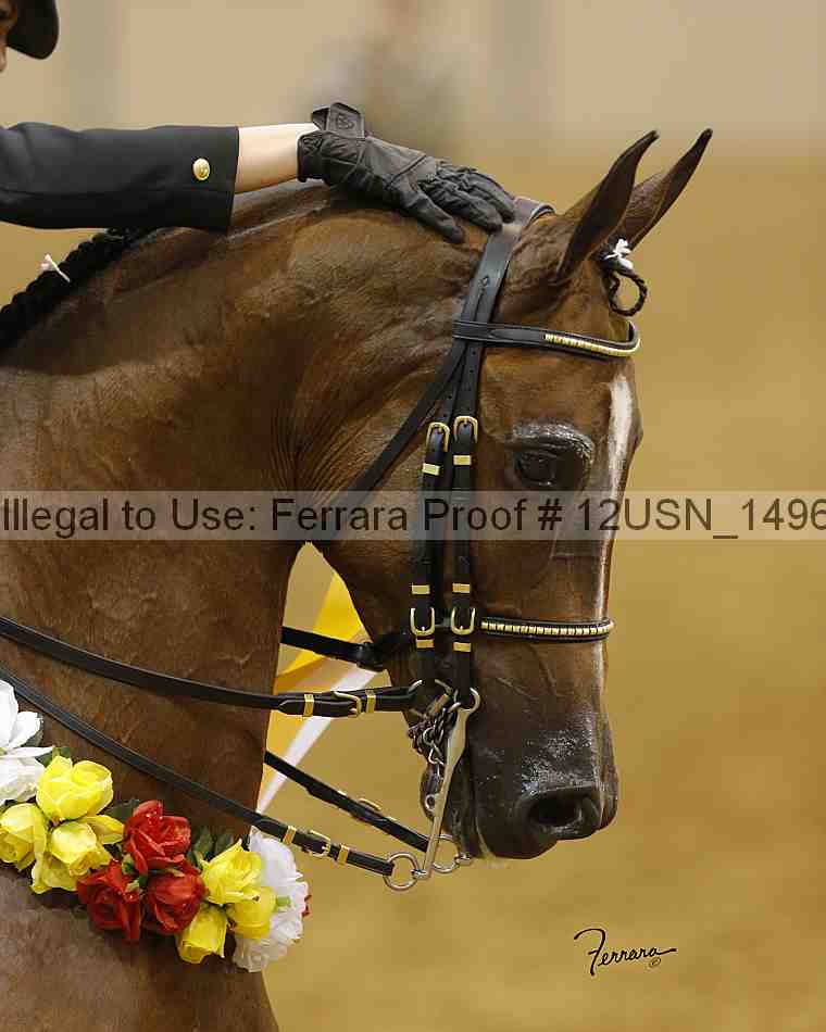 Proof 12usn_14960_slideshow