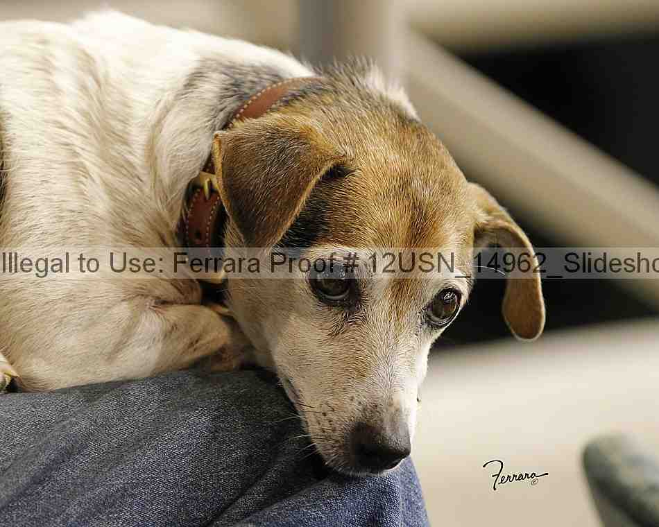 Proof 12usn_14962_slideshow