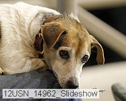 12usn_14962_slideshow proof