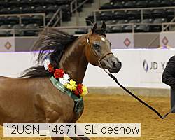 12usn_14971_slideshow proof