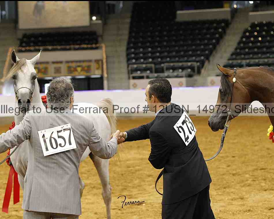 Proof 12usn_14972_slideshow