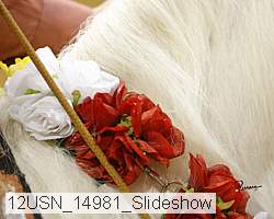 12usn_14981_slideshow proof