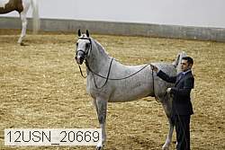 12usn_20669 proof