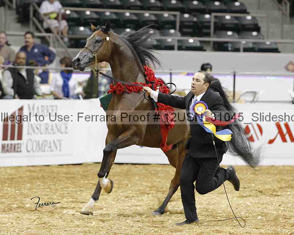 Proof 12usn_31045_slideshow