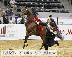 12usn_31045_slideshow proof