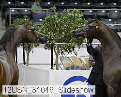 12usn_31046_slideshow proof