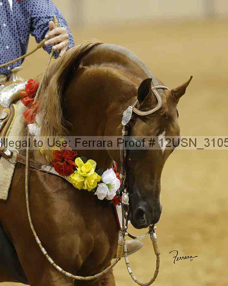 Proof 12usn_31056_slideshow