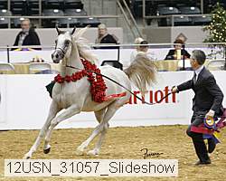 12usn_31057_slideshow proof