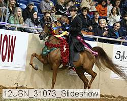 12usn_31073_slideshow proof