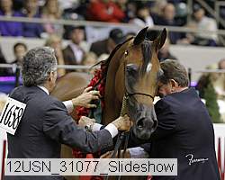12usn_31077_slideshow proof