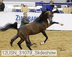 12usn_31079_slideshow proof