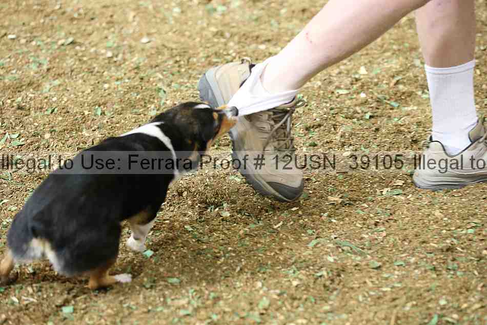 Proof 12usn_39105